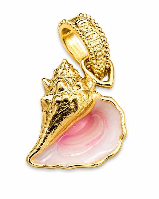 Conch Shell