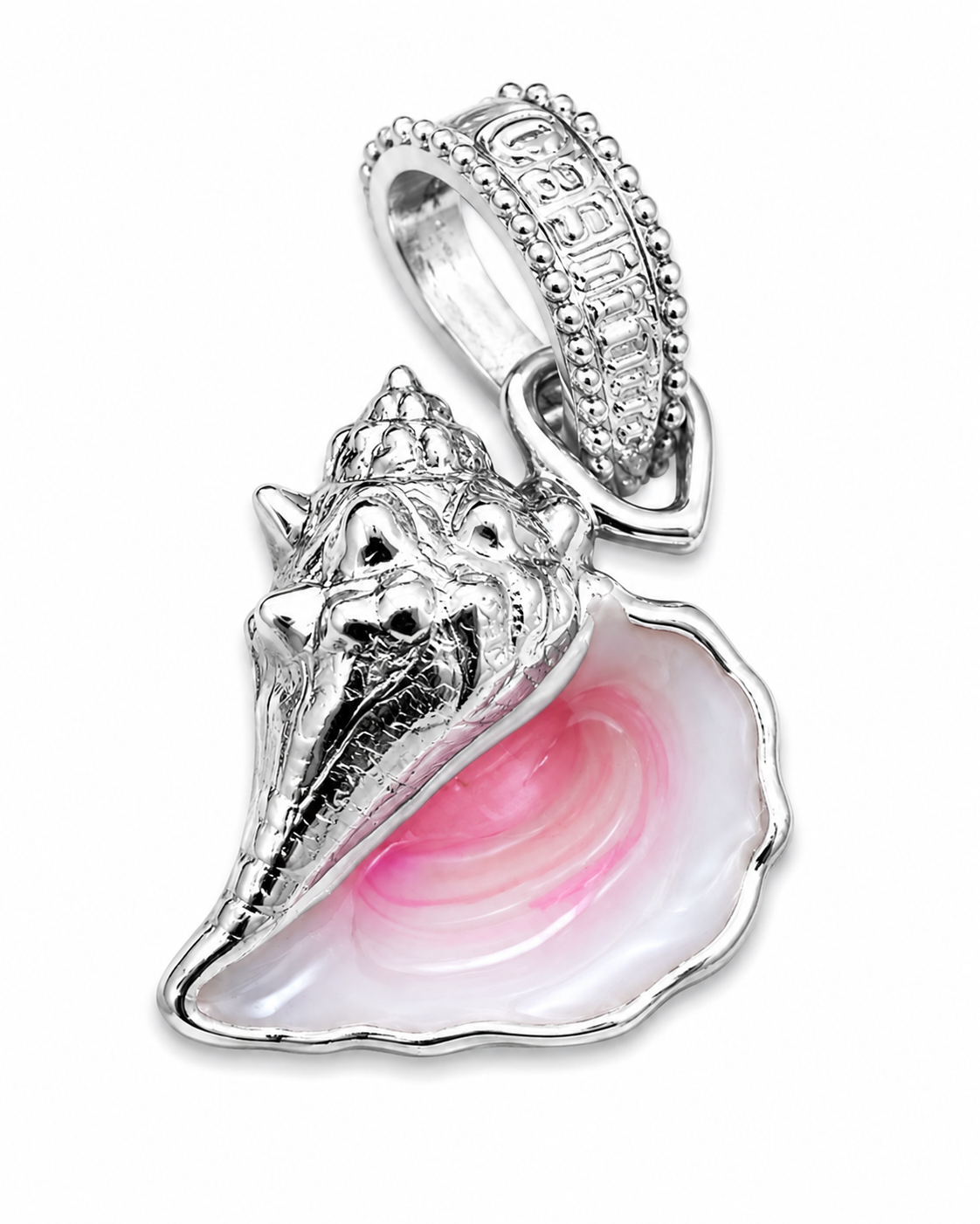 Conch Shell